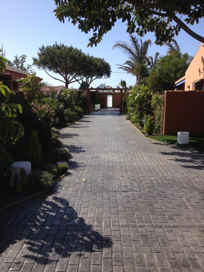 Estudio Con Jardincito Privado Barbacoa Y Piscina Кадис Екстериор снимка